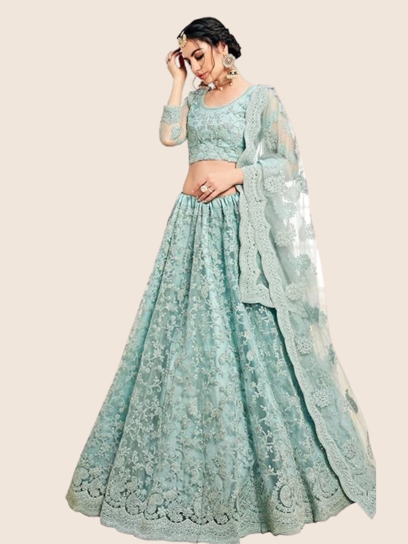 Women's Net Embroidered Semi-Stitched Lehenga Choli